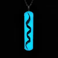 ر. زین|بدلیجات|جهرم, |دیوار