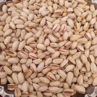 پسته اکبری و احمدآقایی