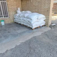گندم برات