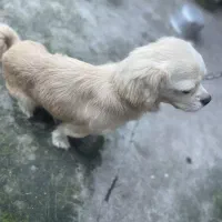 بازیگوش و سالم ۲ ساله