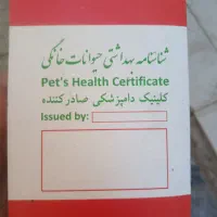 فروش سگ شیتزو برایه بچه