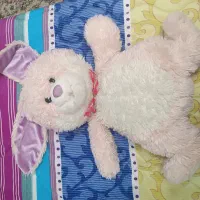 خرگوش سایز متوسط