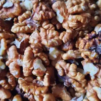 مغز گردو فروشی