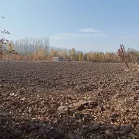 باغ بالاتر از رحیم لینچان|فروش زمین و ملک کلنگی|فیرورق, |دیوار