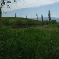 استخر ماهی ابی خاکی چک معاوضه تهاتر|فروش دفتر صنعتی، کشاورزی، تجاری|طالقان, |دیوار