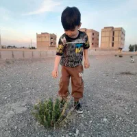 فروش-زمین
