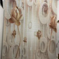 پرده ی زبرا