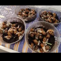 حلزون خانگی آلبینو مناسب درآمدزایی،تراپی پوست ومو