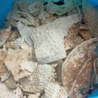 فروش نان خشک گوسفندی