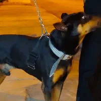 معاوضه با هرچی به قیمت