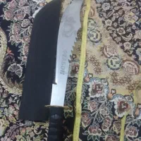 به عکس دوم نگاه کن