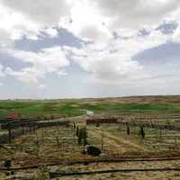 فروش باغچه 1000 متری
