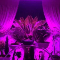 تع میر لام پ|لامپ و چراغ|یزد, |دیوار