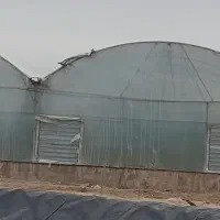کارگر خانم