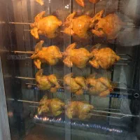 جوجه گردان