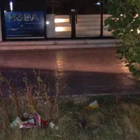رهنمای