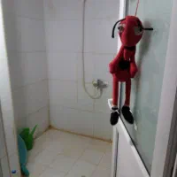 اجاره شبانه|اجارهٔ کوتاه‌مدت آپارتمان و سوئیت|قشم, |دیوار