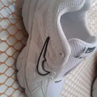 کفش فقط از تولیدی بخر|کیف، کفش، کمربند|تربتحیدریه, آغوی|دیوار