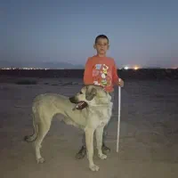 واگذاری ماده عراقی