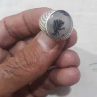 ت ک د ر خ ز ی ب ا