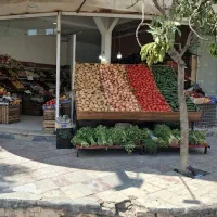 نیروکار میوه فروشی