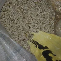 پرندگان