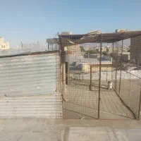 قفس|لوازم جانبی حیوانات|شیراز, محراب|دیوار