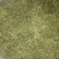 آویشن کوهی