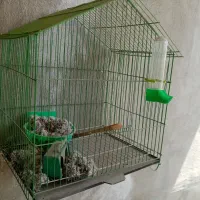 قفس پرنده