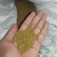 بزر یونجه علف درجه یک