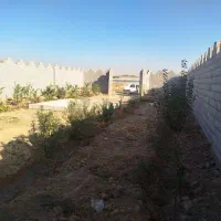 باغ-نقلی-شیک-نقلی