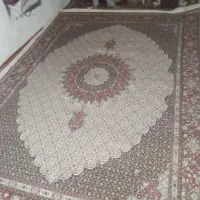 قالین دست باف نه متری|فرش|بیرجند, |دیوار