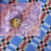 سنگ انگشتر|بدلیجات|قم, شهرک طالقانی|دیوار