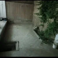 فروش یامعاوضه باخونه یاویلا درشمال