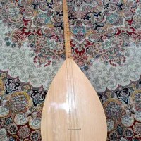 باغلاما دسته بلند هناره(دیوان) به همراه سافت کیس|سازهای سنتی|نیشابور, بنیاد شهید|دیوار