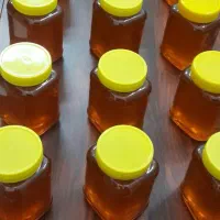 عسل چهل گیاه اردبیل|خوردنی و آشامیدنی|اهواز, امانیه|دیوار