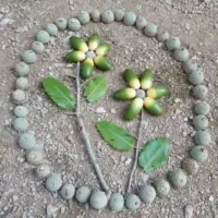 بز جوان داشتی