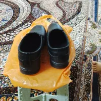 کفش ونیس|کیف، کفش، کمربند|بندر امام خمینی, |دیوار