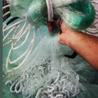 تور ماهیگیری|ماهیگیری|سروآباد, |دیوار