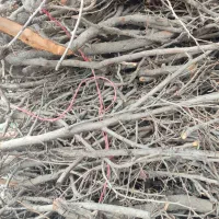 هیزم یا چوب برای تنور