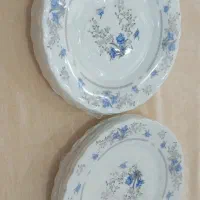 پیش دستی و پیاله ماست خوری