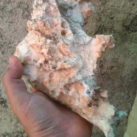 سنگ آکواریوم