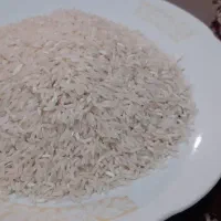 برنج طارم هاشمی آمل