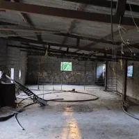 فروش دامداری (پرورش گوسفند)|فروش دفتر صنعتی، کشاورزی، تجاری|ساری, |دیوار