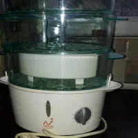 بخار پز