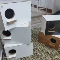 لونه عروس هلندی عمده و تکی نو نو