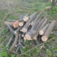 خرید چوب  انواع درختان باغی قطع برش هرس کود حیوانی