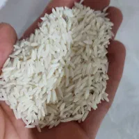 برنج هاشمی سالم|خوردنی و آشامیدنی|لاهیجان, لیالستان|دیوار