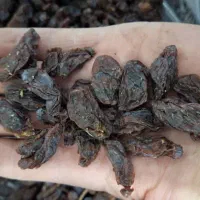 مویز|خوردنی و آشامیدنی|ری, ملک‌آباد|دیوار