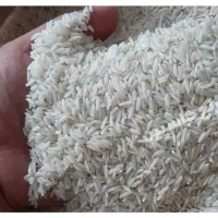 برنج طارم  هاشمی درجه یک از زمین خودم